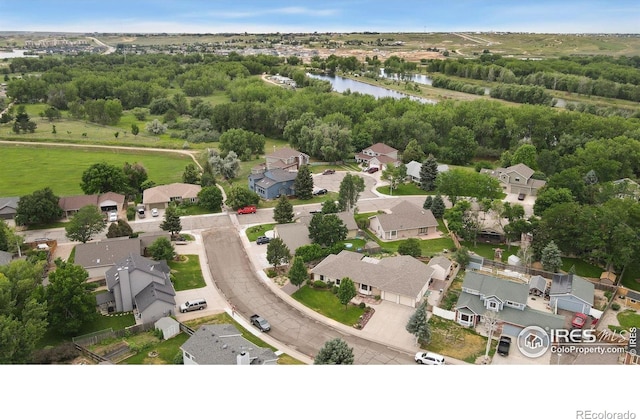 908 Pine Dr, Windsor, CO 80550 - photo 34