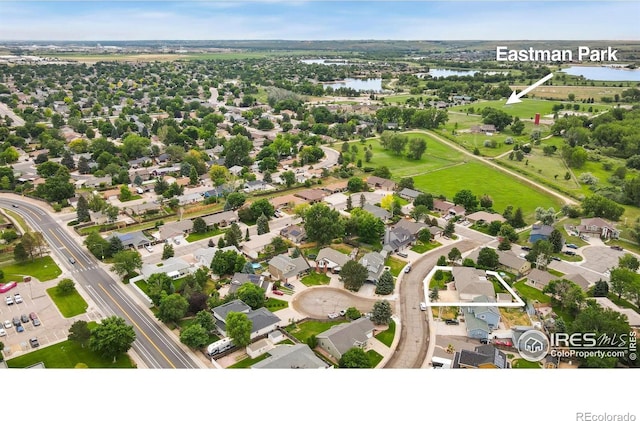 908 Pine Dr, Windsor, CO 80550 - photo 35