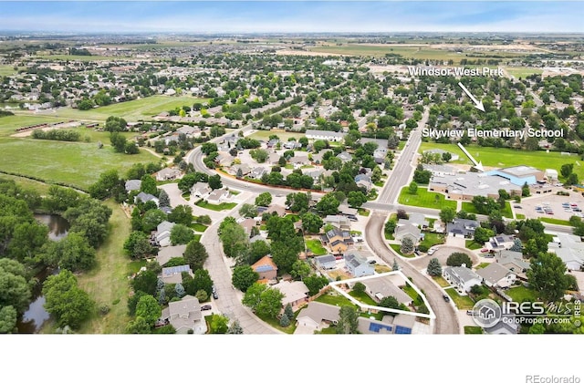 908 Pine Dr, Windsor, CO 80550 - photo 36