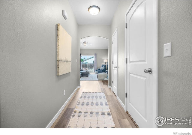 1384 S Growers Dr, Milliken, CO 80543 - corridor featuring light wood finished floors and a textured wall