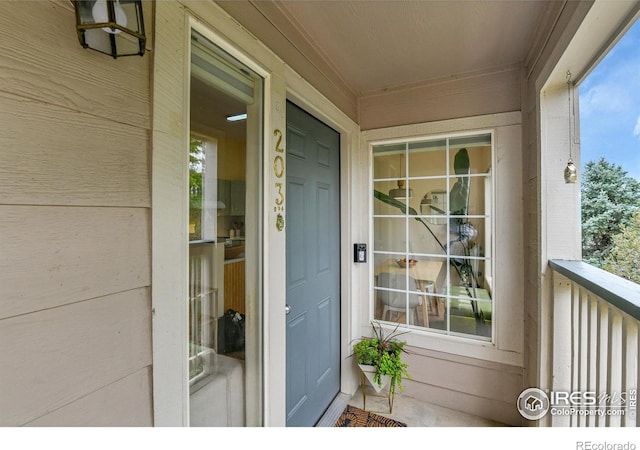 1050 Opal St Unit 203, Broomfield, CO 80020 - photo 1