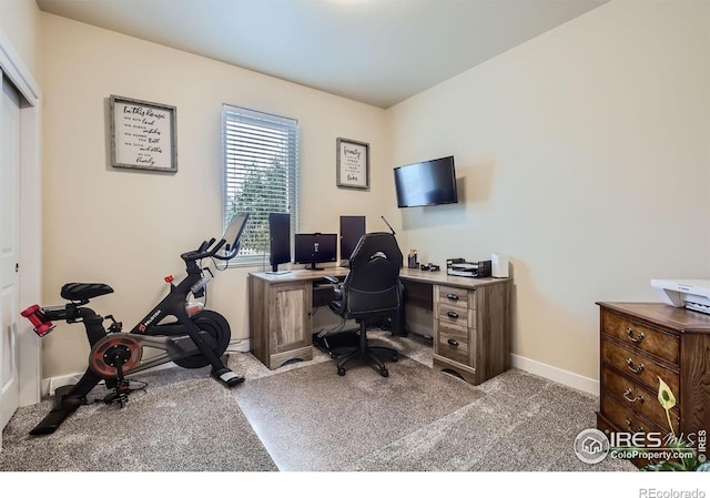 7840 Cattail Grn, Frederick, CO 80530 - photo 15