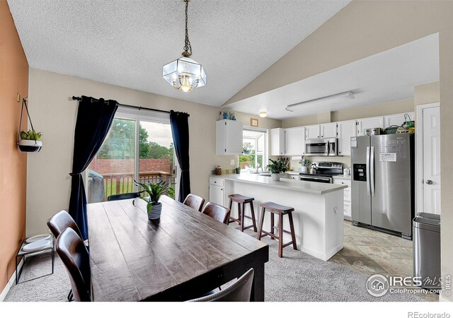 360 Wellington Ave, Lafayette, CO 80026 - photo 8