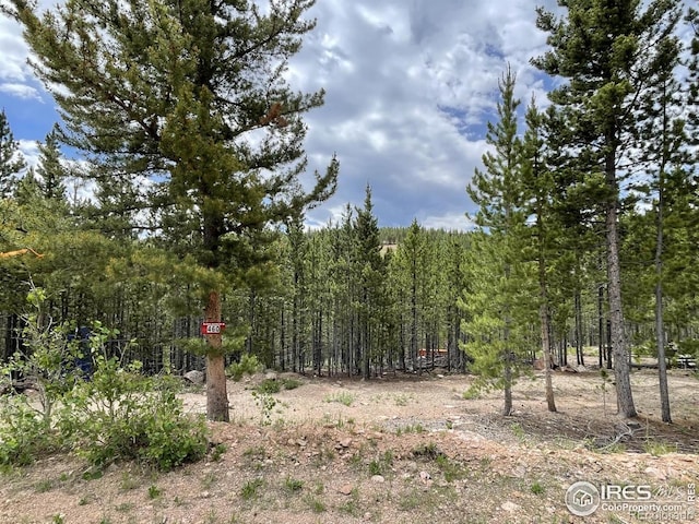 460 Mescalero Dr, Red Feather Lakes, CO 80545 - photo 2