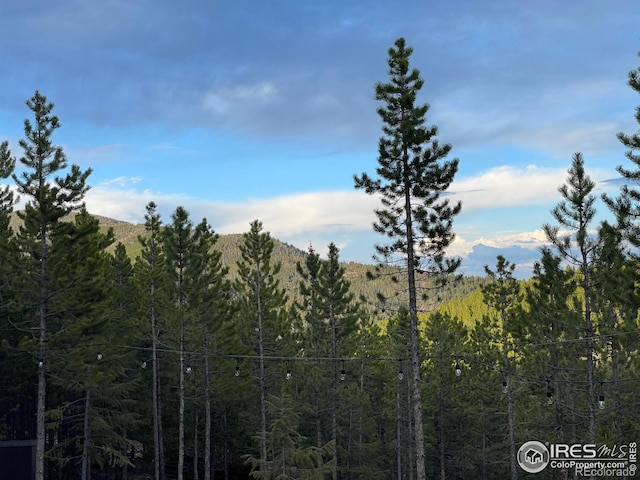 460 Mescalero Dr, Red Feather Lakes, CO 80545 - photo 5