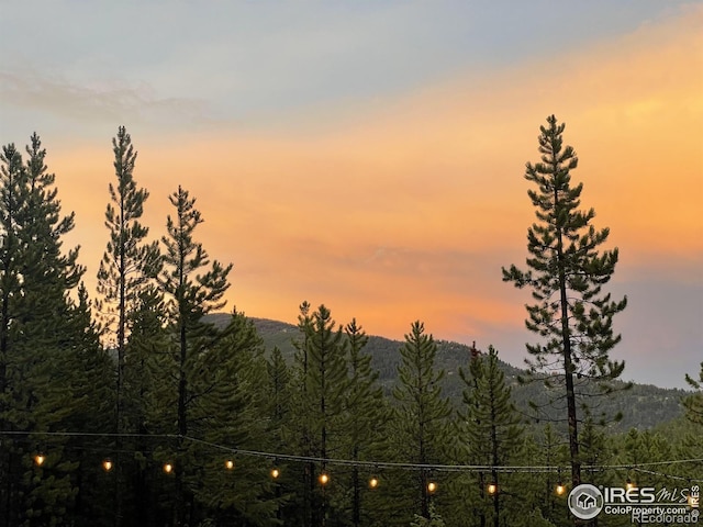 460 Mescalero Dr, Red Feather Lakes, CO 80545 - photo 6