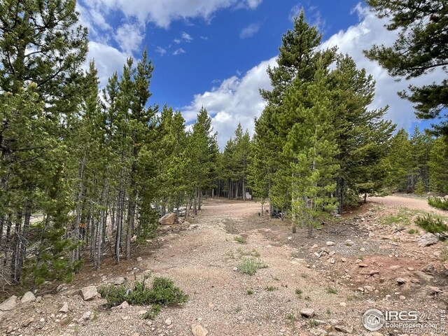 460 Mescalero Dr, Red Feather Lakes, CO 80545 - photo 7