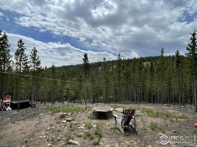 460 Mescalero Dr, Red Feather Lakes, CO 80545 - photo 8