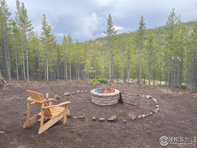 460 Mescalero Dr, Red Feather Lakes, CO 80545 - photo 9