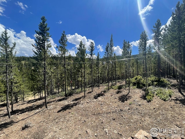 460 Mescalero Dr, Red Feather Lakes, CO 80545 - photo 11