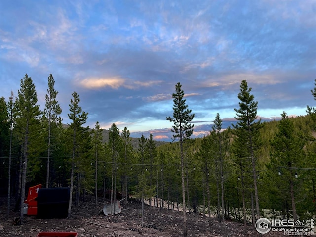 460 Mescalero Dr, Red Feather Lakes, CO 80545 - photo 12