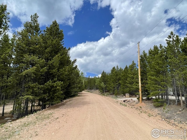 460 Mescalero Dr, Red Feather Lakes, CO 80545 - photo 13