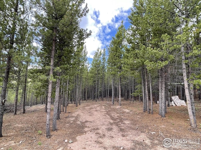 460 Mescalero Dr, Red Feather Lakes, CO 80545 - photo 16