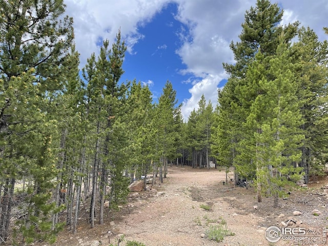 460 Mescalero Dr, Red Feather Lakes, CO 80545 - photo 18
