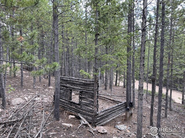 460 Mescalero Dr, Red Feather Lakes, CO 80545 - photo 19