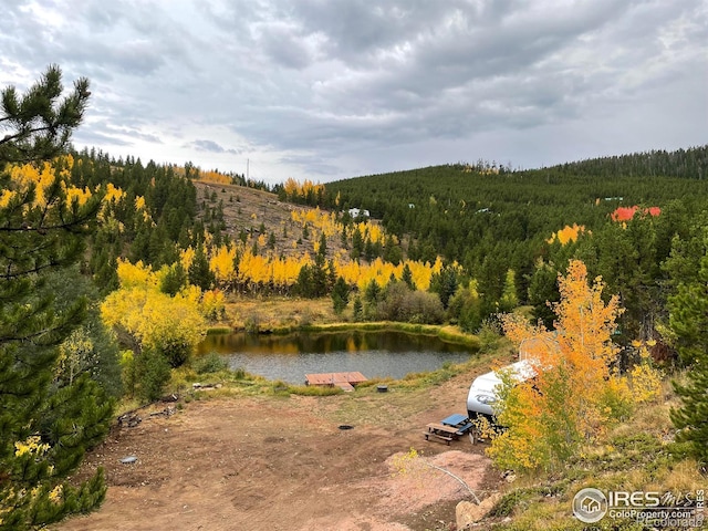 460 Mescalero Dr, Red Feather Lakes, CO 80545 - photo 20