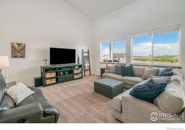 1103 Ibex Dr, Severance, CO 80550 - carpeted living area featuring high vaulted ceiling and baseboards