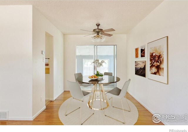 1332 S Lincoln St, Longmont, CO 80501 - photo 8