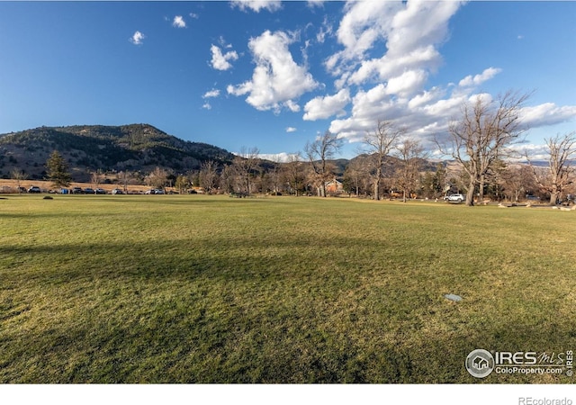 755 Lincoln Pl, Boulder, CO 80302 - photo 8