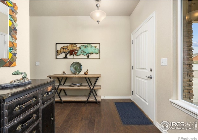 2932 Pictor St, Loveland, CO 80537 - photo 5