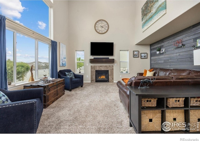 2932 Pictor St, Loveland, CO 80537 - photo 12