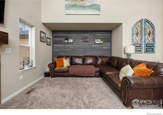2932 Pictor St, Loveland, CO 80537 - photo 13