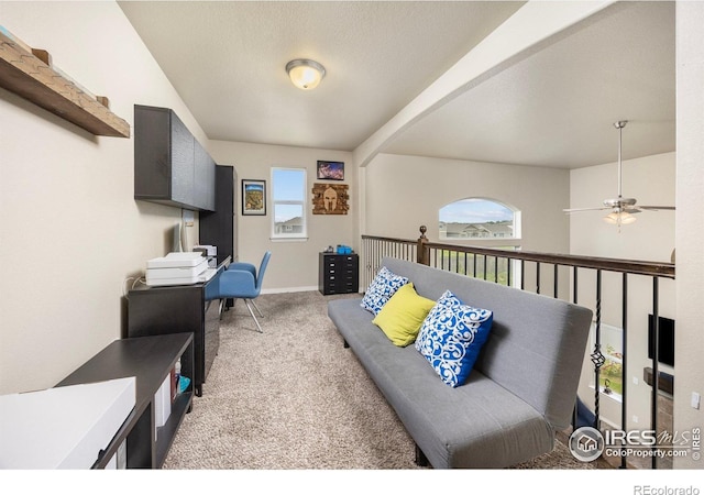 2932 Pictor St, Loveland, CO 80537 - photo 17