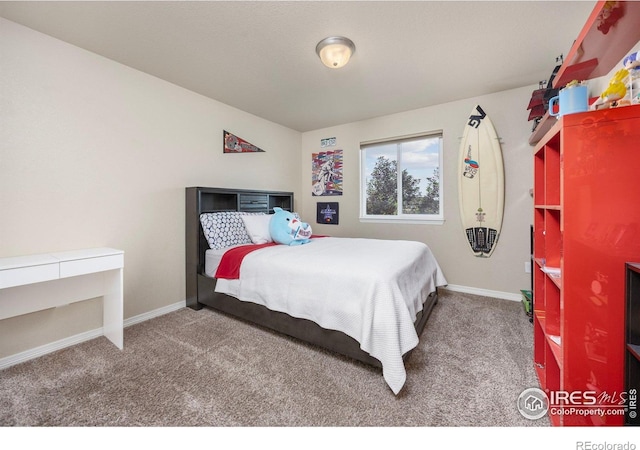 2932 Pictor St, Loveland, CO 80537 - photo 24