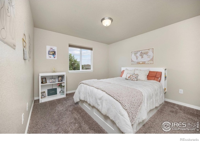 2932 Pictor St, Loveland, CO 80537 - photo 25