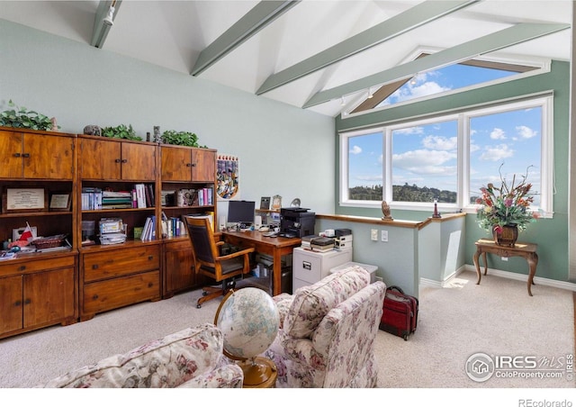 6183 Red Hill Rd, Boulder, CO 80302 - home office with carpet and baseboards