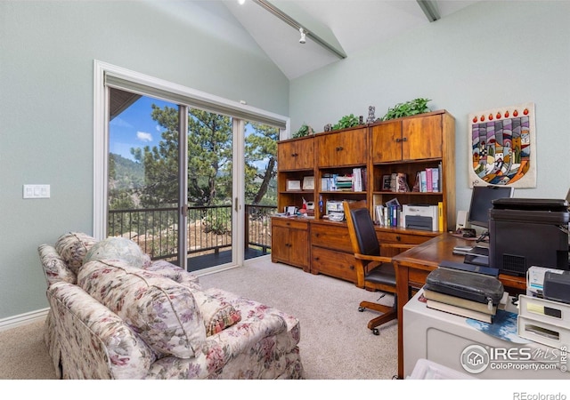 6183 Red Hill Rd, Boulder, CO 80302 - office space featuring vaulted ceiling and carpet floors