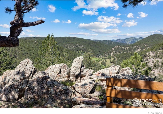 6183 Red Hill Rd, Boulder, CO 80302 - mountain view with a forest