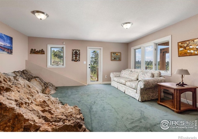 6183 Red Hill Rd, Boulder, CO 80302 - view of carpeted living area