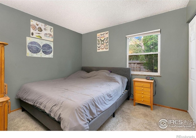 2909 W Olive St, Fort Collins, CO 80521 - photo 11