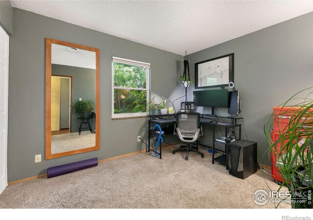 2909 W Olive St, Fort Collins, CO 80521 - photo 14