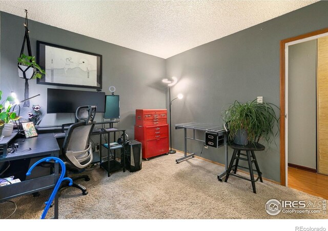 2909 W Olive St, Fort Collins, CO 80521 - photo 15