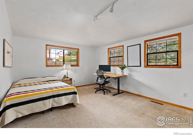 2306 Ptelea Ct, Loveland, CO 80538 - bedroom featuring track lighting, carpet, vaulted ceiling, and a desk