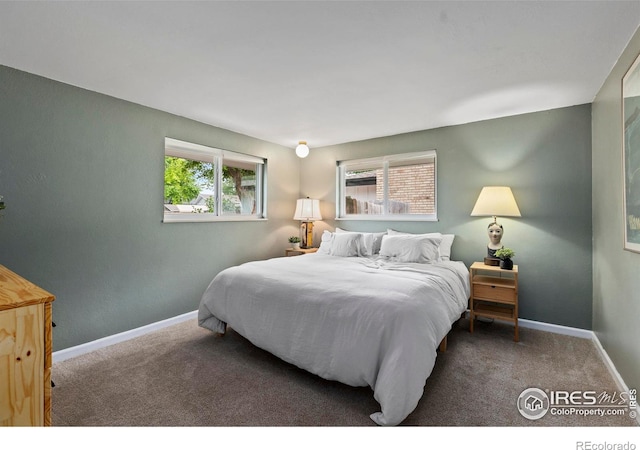 2306 Ptelea Ct, Loveland, CO 80538 - bedroom featuring carpet flooring