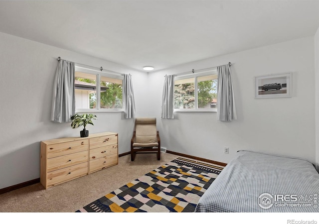 2306 Ptelea Ct, Loveland, CO 80538 - bedroom with light carpet and baseboards