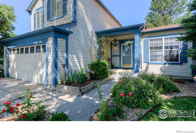 3598 Larkspur Dr, Longmont, CO 80503 - photo 1