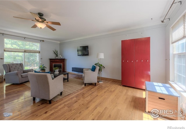 3598 Larkspur Dr, Longmont, CO 80503 - photo 3