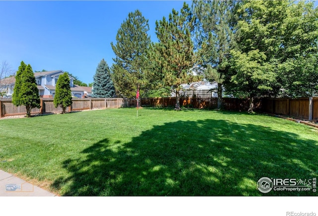 3598 Larkspur Dr, Longmont, CO 80503 - photo 21