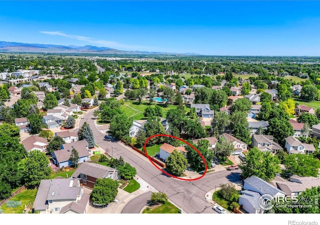 3598 Larkspur Dr, Longmont, CO 80503 - photo 28