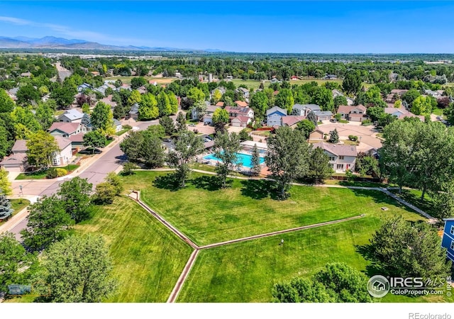 3598 Larkspur Dr, Longmont, CO 80503 - photo 29