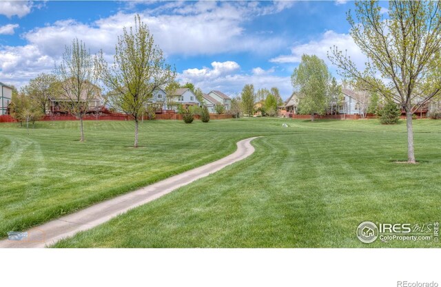 3598 Larkspur Dr, Longmont, CO 80503 - photo 31