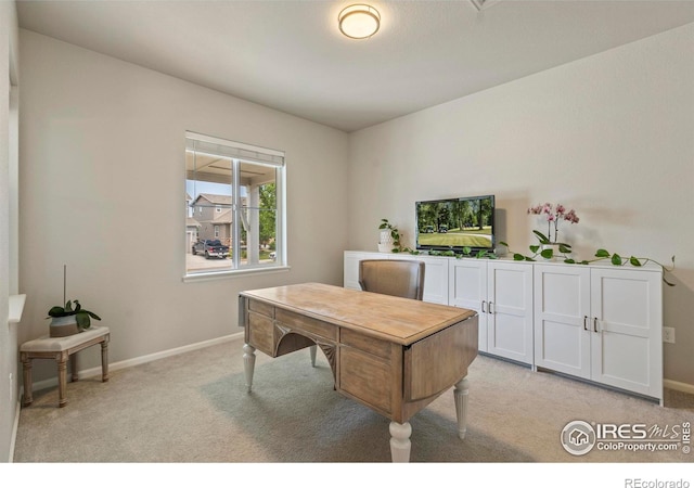 387 Seahorse Dr, Windsor, CO 80550 - photo 17