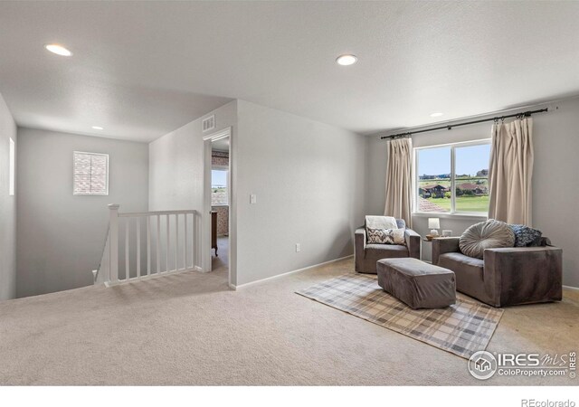 387 Seahorse Dr, Windsor, CO 80550 - photo 18