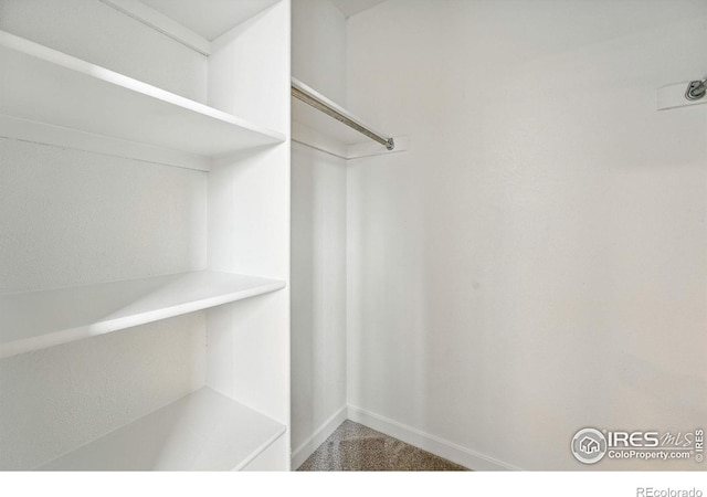 3790 Iris Ave Unit D, Boulder, CO 80301 - photo 25