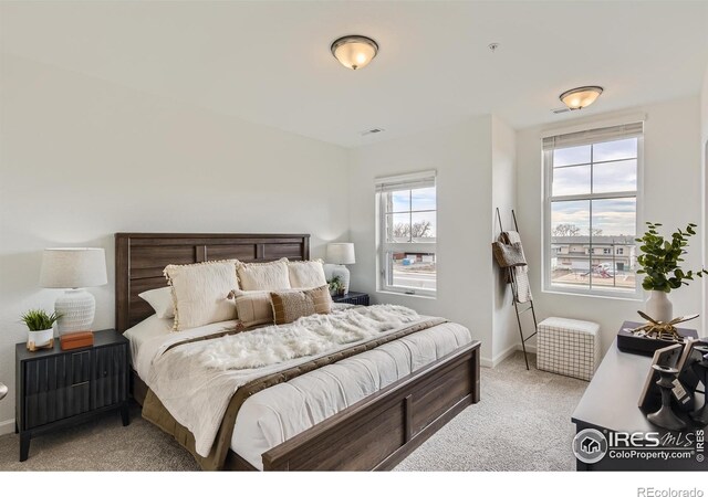 919 Schlagel St Unit 5, Fort Collins, CO 80524 - photo 11