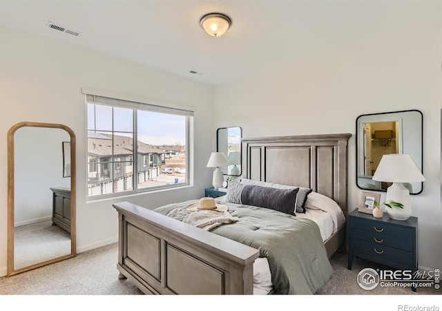 919 Schlagel St Unit 5, Fort Collins, CO 80524 - photo 15
